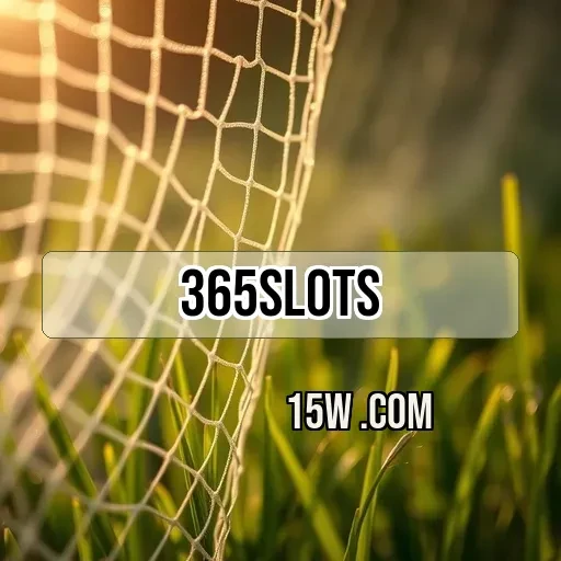365slots Plataforma
